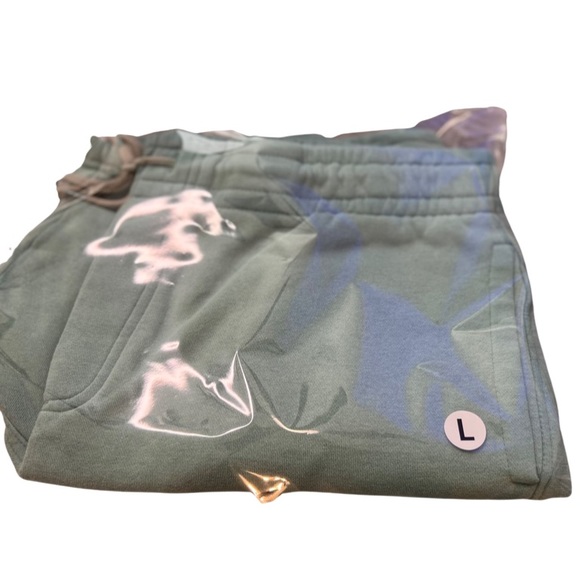 Goodfellow & Co. Mint Green Shorts - Picture 7 of 7